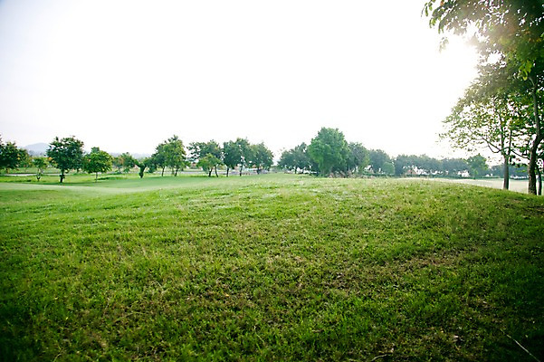 포토 JPG 주간 나무 식물 해외기획촬영 2010년태국 스포츠 골프 스포츠시설 골프장 태국 필드 하늘 레저 풍경 잔디 사람없음 야외 초록색 레포츠 국내포토 자연요소 아시아 컬러 구기 시설 파일형식