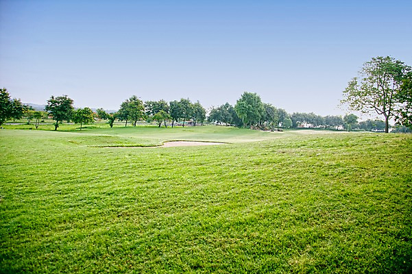 포토 JPG 주간 나무 식물 해외기획촬영 2010년태국 스포츠 골프 스포츠시설 골프장 태국 필드 하늘 레저 풍경 잔디 사람없음 야외 초록색 레포츠 국내포토 자연요소 아시아 컬러 구기 시설 파일형식