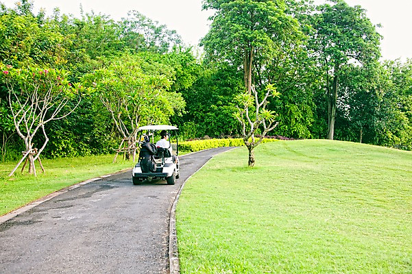 포토 JPG 주간 나무 식물 해외기획촬영 길 2010년태국 스포츠 골프 스포츠시설 골프장 태국 필드 레저 풍경 잔디 야외 초록색 레포츠 카트 골프카트 국내포토 자연요소 아시아 컬러 골프용품 구기 시설 파일형식