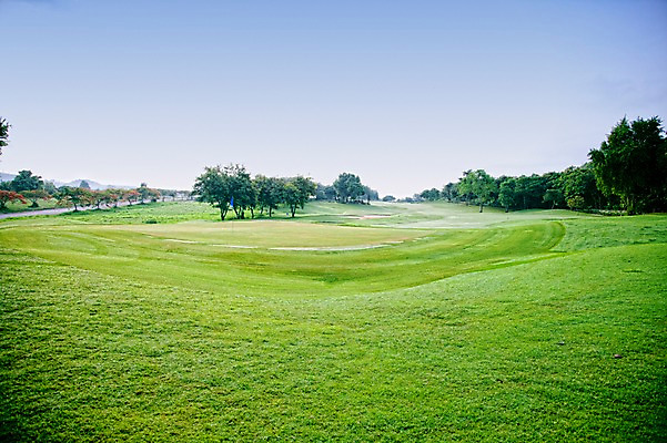 포토 JPG 주간 나무 식물 해외기획촬영 2010년태국 스포츠 골프 스포츠시설 골프장 태국 필드 하늘 레저 풍경 잔디 사람없음 야외 초록색 레포츠 국내포토 자연요소 아시아 컬러 구기 시설 파일형식