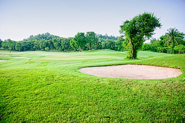 포토 JPG 주간 나무 식물 해외기획촬영 2010년태국 모래 스포츠 골프 스포츠시설 골프장 태국 필드 하늘 레저 풍경 잔디 사람없음 야외 초록색 레포츠 벙커 국내포토 자연요소 아시아 컬러 구기 시설 파일형식