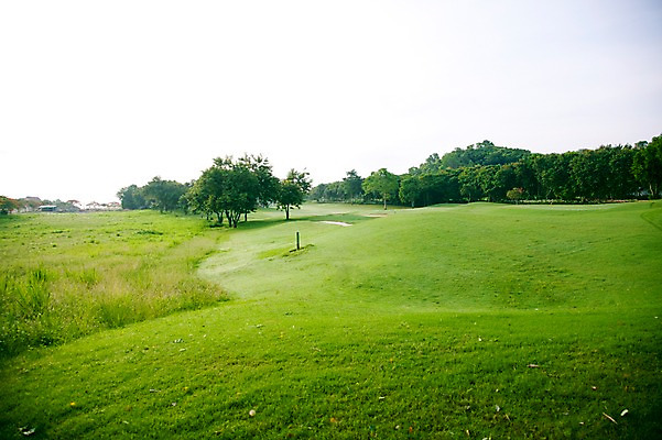 포토 JPG 주간 나무 식물 해외기획촬영 2010년태국 스포츠 골프 스포츠시설 골프장 태국 필드 하늘 레저 풍경 잔디 사람없음 야외 초록색 레포츠 국내포토 자연요소 아시아 컬러 구기 시설 파일형식