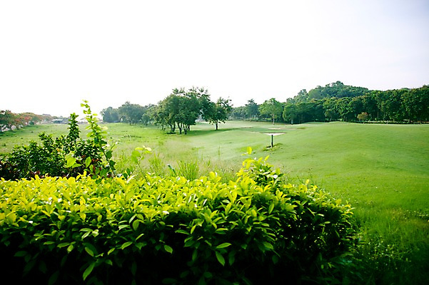 포토 JPG 주간 나무 식물 해외기획촬영 해외 2010년태국 스포츠 골프 스포츠시설 골프장 태국 필드 하늘 레저 풍경 잔디 사람없음 야외 초록색 레포츠 풀 숲 국내포토 자연요소 아시아 컬러 구기 시설 파일형식