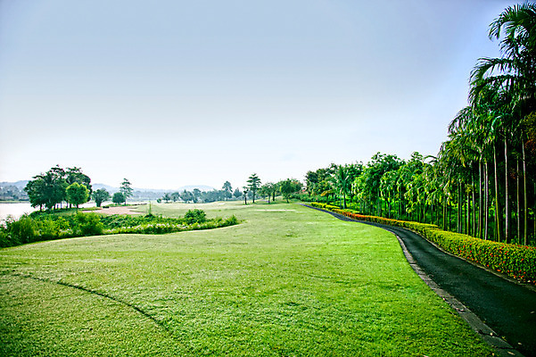 포토 JPG 주간 나무 식물 해외기획촬영 해외 길 2010년태국 스포츠 골프 스포츠시설 골프장 태국 필드 하늘 레저 풍경 잔디 사람없음 야외 초록색 레포츠 국내포토 자연요소 아시아 컬러 구기 시설 파일형식