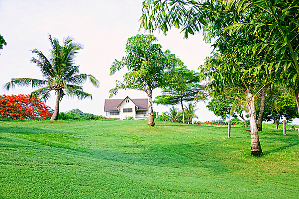 포토 JPG 주간 나무 식물 해외기획촬영 해외 2010년태국 스포츠 골프 스포츠시설 골프장 태국 필드 레저 풍경 잔디 사람없음 야외 건물 초록색 레포츠 국내포토 자연요소 건축물 아시아 컬러 구기 시설 파일형식