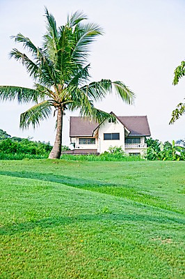 포토 JPG 주간 나무 식물 해외기획촬영 해외 2010년태국 스포츠 골프 스포츠시설 골프장 태국 필드 하늘 레저 풍경 잔디 사람없음 야외 건물 초록색 레포츠 국내포토 자연요소 건축물 아시아 컬러 구기 시설 파일형식