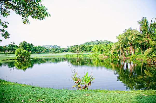 포토 JPG 주간 나무 식물 해외기획촬영 해외 2010년태국 스포츠 골프 스포츠시설 골프장 태국 필드 하늘 레저 풍경 잔디 사람없음 야외 초록색 레포츠 연못 국내포토 자연요소 아시아 컬러 구기 시설 파일형식