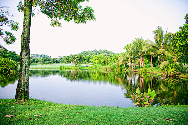 포토 JPG 주간 나무 식물 해외기획촬영 해외 2010년태국 스포츠 골프 스포츠시설 골프장 태국 필드 하늘 레저 풍경 잔디 사람없음 야외 초록색 레포츠 연못 국내포토 자연요소 아시아 컬러 구기 시설 파일형식