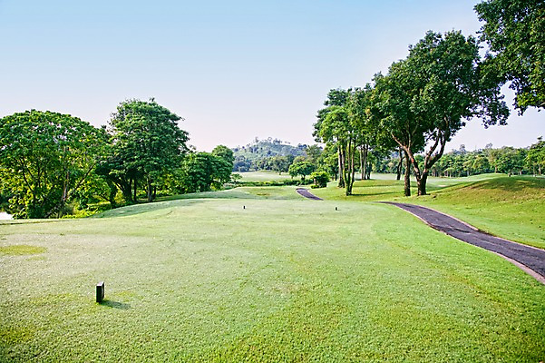 포토 JPG 주간 나무 식물 해외기획촬영 해외 길 2010년태국 스포츠 골프 스포츠시설 골프장 태국 필드 하늘 레저 풍경 잔디 사람없음 야외 초록색 레포츠 국내포토 자연요소 아시아 컬러 구기 시설 파일형식