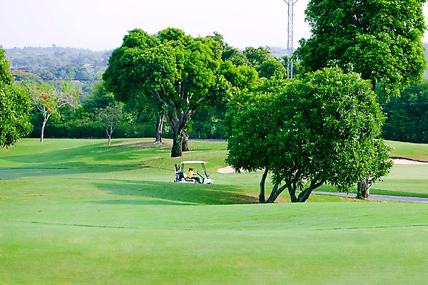 포토 JPG 주간 나무 식물 해외기획촬영 해외 2010년태국 스포츠 골프 스포츠시설 골프장 태국 필드 레저 한명 풍경 잔디 야외 초록색 레포츠 카트 골프카트 국내포토 자연요소 1 아시아 컬러 골프용품 사람 구기 시설 파일형식