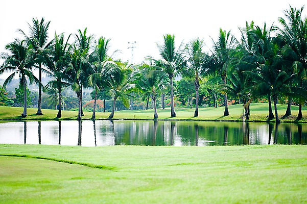 포토 JPG 주간 나무 식물 해외기획촬영 해외 2010년태국 스포츠 골프 스포츠시설 골프장 태국 필드 레저 풍경 잔디 사람없음 야외 초록색 레포츠 연못 국내포토 자연요소 아시아 컬러 구기 시설 파일형식