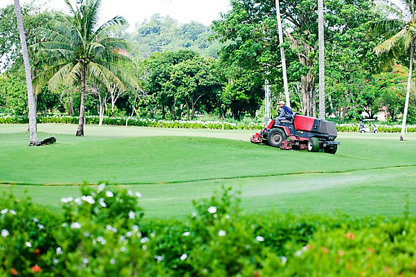 포토 JPG 주간 나무 식물 해외기획촬영 해외 2010년태국 스포츠 골프 스포츠시설 골프장 태국 필드 레저 관리 풍경 잔디 야외 초록색 레포츠 기계 장비 국내포토 자연요소 아시아 컬러 구기 시설 파일형식