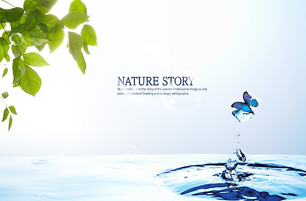 PSD 식물 동물 편집이미지 한마리 사계절 계절 나비 곤충 백그라운드 잎 자연 나뭇잎 사람없음 물 봄 거품 물방울 공기방울 파장 이미지편집 자연요소 1 생태계 파일형식