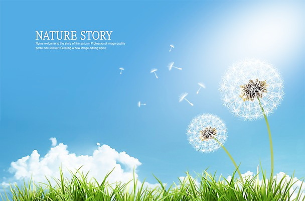 PSD 식물 구름 편집이미지 사계절 계절 백그라운드 자연 하늘 날리기 잔디 사람없음 봄 민들레 민들레홀씨 이미지편집 자연요소 꽃 모션 생태계 파일형식
