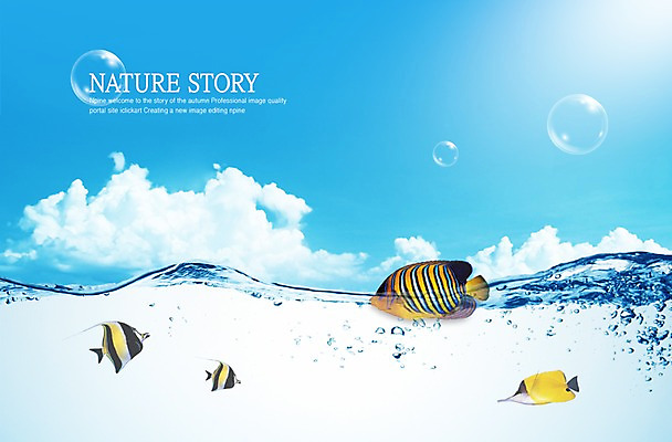 PSD 동물 구름 편집이미지 사계절 계절 물결 바다 백그라운드 여러마리 자연 하늘 어류 풍경 사람없음 물 여름 거품 물방울 열대어 공기방울 이미지편집 자연요소 다수 수중동물 생태계 파일형식