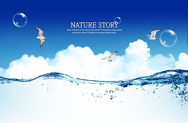 PSD 동물 구름 편집이미지 사계절 계절 물결 바다 백그라운드 자연 갈매기 조류 하늘 세마리 풍경 사람없음 물 여름 거품 물방울 공기방울 이미지편집 자연요소 3 생태계 파일형식