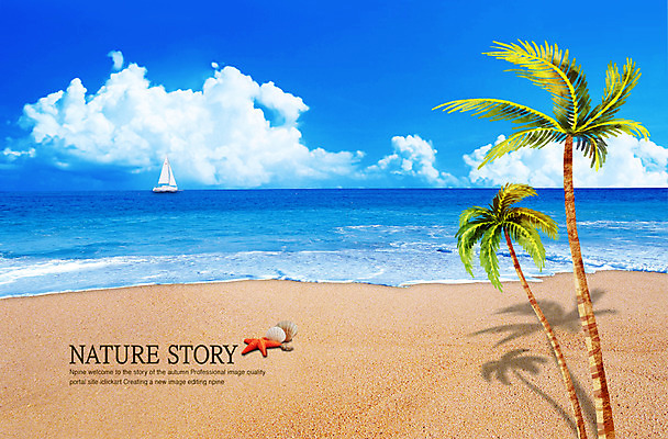 PSD 나무 식물 구름 편집이미지 사계절 계절 파도 바다 백그라운드 자연 하늘 조개 불가사리 연체동물 그림자 풍경 해변 사람없음 여름 모래사장 야자수 그늘 선박 이미지편집 자연요소 수상교통 어패류 극피동물 무척추동물 생태계 파일형식