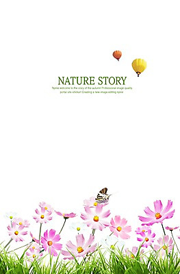 PSD 식물 동물 편집이미지 한마리 사계절 계절 꽃 나비 곤충 백그라운드 꽃밭 자연 잔디 사람없음 공백 가을 열기구 풀 코스모스 이미지편집 1 항공교통 생태계 파일형식