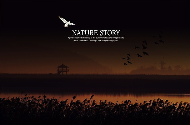 PSD 동물 편집이미지 사계절 계절 실루엣 백그라운드 자연 조류 풍경 초원 사람없음 강 가을 야간 강가 원두막 갈대밭 갈대숲 가을배경 이미지편집 자연요소 촬영기법 숲 생태계 파일형식 가을_계절 갈대_식물