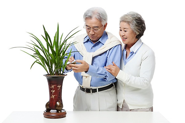 포토 JPG 스튜디오촬영 식물 모델 라이프스타일 부부 커플 여자 할아버지 노년 남자 행복 화분 할머니 화초 포즈 실내 서기 미소 웃음 누끼 사람 동양인 상반신 성인 취미 두명 라이프 실버라이프 노부부 다정 한국인 난초 실버 60대 원예 식물키우기 노인만 국내포토 감정 컨셉 관계 모션 표정 인종 내부 생활 성인만 파일형식