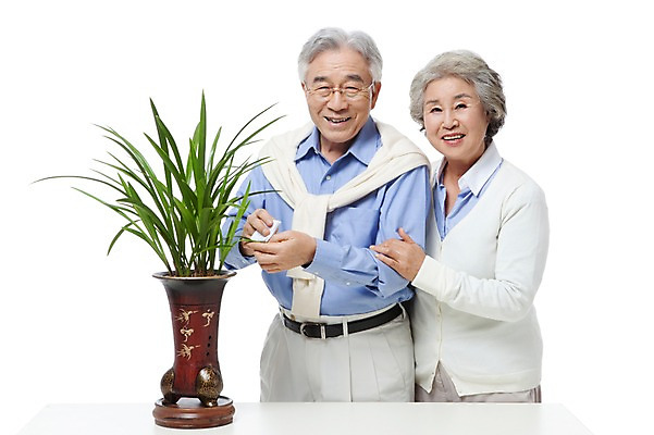 포토 JPG 스튜디오촬영 식물 모델 라이프스타일 부부 커플 여자 할아버지 노년 남자 행복 화분 할머니 화초 포즈 실내 서기 미소 웃음 누끼 사람 동양인 상반신 성인 취미 두명 라이프 실버라이프 노부부 다정 한국인 난초 실버 60대 원예 식물키우기 노인만 국내포토 감정 컨셉 관계 모션 표정 인종 내부 생활 성인만 파일형식