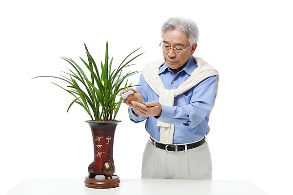 포토 JPG 스튜디오촬영 식물 모델 라이프스타일 할아버지 노년 남자 화분 화초 포즈 실내 한명 서기 누끼 사람 동양인 상반신 성인 취미 라이프 실버라이프 한국인 난초 실버 60대 원예 식물키우기 노인만 노인남자만 노인남자한명만 국내포토 1 모션 인종 내부 생활 남자만 남자한명만 성인만 파일형식