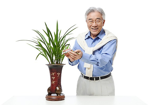 포토 JPG 스튜디오촬영 식물 모델 라이프스타일 할아버지 노년 남자 화분 화초 포즈 실내 한명 서기 미소 웃음 누끼 사람 동양인 상반신 성인 취미 라이프 실버라이프 한국인 난초 실버 60대 원예 식물키우기 노인만 노인남자만 노인남자한명만 국내포토 1 모션 표정 인종 내부 생활 남자만 남자한명만 성인만 파일형식