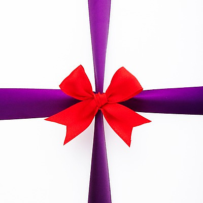 포토 JPG 스튜디오촬영 리본 줄 백그라운드 포장 실내 누끼 사람없음 장식 빨간색 보라색 끈 오브젝트 매듭 리본백그라운드 국내포토 컬러 내부 파일형식