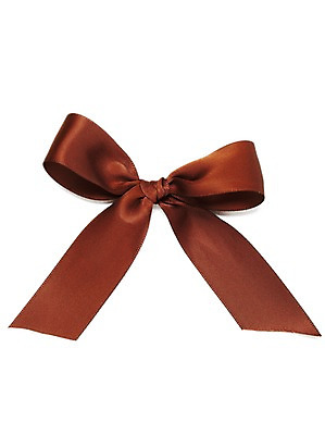 포토 JPG 스튜디오촬영 리본 백그라운드 실내 누끼 사람없음 장식 갈색 오브젝트 리본백그라운드 국내포토 컬러 내부 파일형식