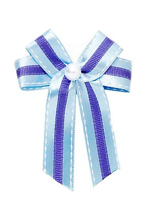 포토 JPG 스튜디오촬영 리본 하늘색 백그라운드 실내 누끼 사람없음 장식 보라색 오브젝트 리본백그라운드 국내포토 컬러 내부 파란색 파일형식