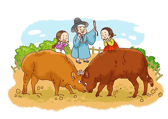 전신 PSD 동물 한국문화 한국전통 전통 여자 남자 전통문화 문화 어린이 두마리 일러스트 한국 뿔 서기 사람 성인 세명 소 전통의상 한복 싸움 소싸움 투우 국내일러스트 동양문화 아시아 2 포유류 모션 전통놀이 파일형식