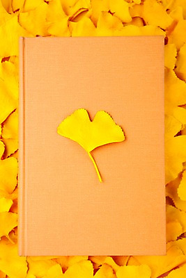 포토 JPG 스튜디오촬영 사계절 계절 백그라운드 자연 나뭇잎 실내 사람없음 책 노란색 가을 오브젝트 한권 은행잎 국내포토 1 컬러 잎 내부 생태계 파일형식