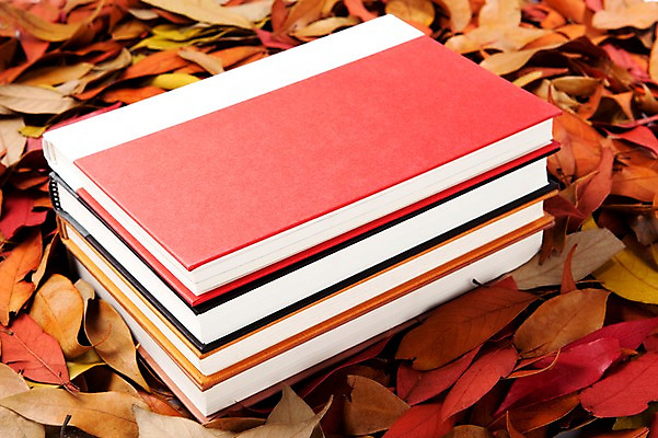 포토 JPG 스튜디오촬영 사계절 계절 백그라운드 단풍 낙엽 자연 나뭇잎 실내 사람없음 책 쌓기 가을 오브젝트 여러권 국내포토 다수 잎 모션 내부 생태계 파일형식