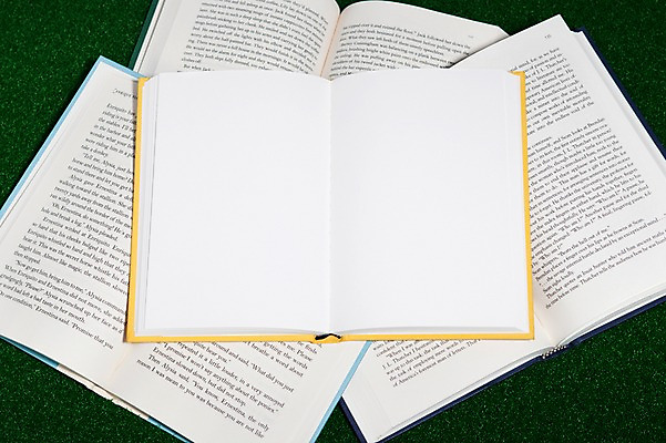 포토 JPG 스튜디오촬영 백그라운드 프레임 실내 잔디 사람없음 책 펼침 오브젝트 여러권 백지 페이지 국내포토 식물 다수 모션 내부 파일형식