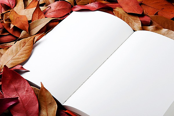 포토 JPG 스튜디오촬영 사계절 계절 백그라운드 단풍 낙엽 자연 나뭇잎 프레임 실내 사람없음 책 펼침 가을 오브젝트 백지 한권 국내포토 1 잎 모션 내부 생태계 파일형식