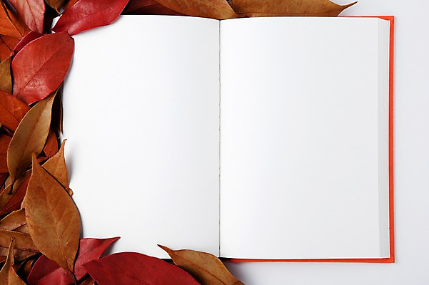 포토 JPG 스튜디오촬영 사계절 계절 백그라운드 단풍 낙엽 자연 나뭇잎 프레임 실내 사람없음 책 펼침 가을 오브젝트 백지 한권 국내포토 1 잎 모션 내부 생태계 파일형식