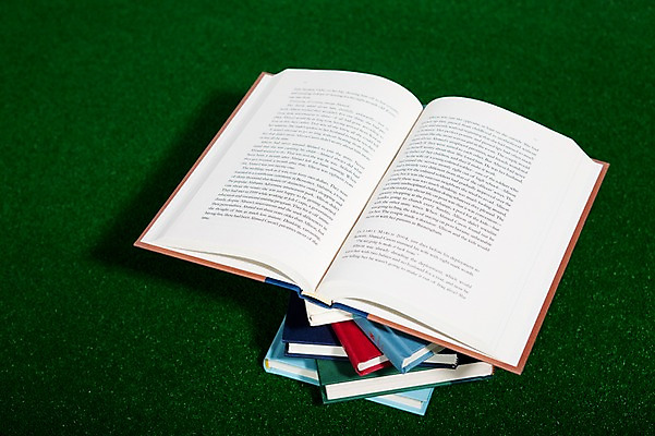 포토 JPG 스튜디오촬영 백그라운드 실내 잔디 사람없음 책 쌓기 펼침 오브젝트 여러권 페이지 국내포토 식물 다수 모션 내부 파일형식