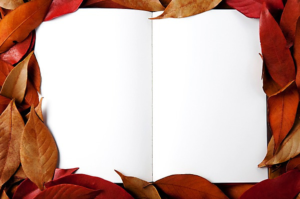 포토 JPG 스튜디오촬영 사계절 계절 백그라운드 단풍 낙엽 잎 자연 나뭇잎 프레임 실내 사람없음 책 펼침 가을 오브젝트 백지 한권 국내포토 식물 1 모션 내부 생태계 파일형식