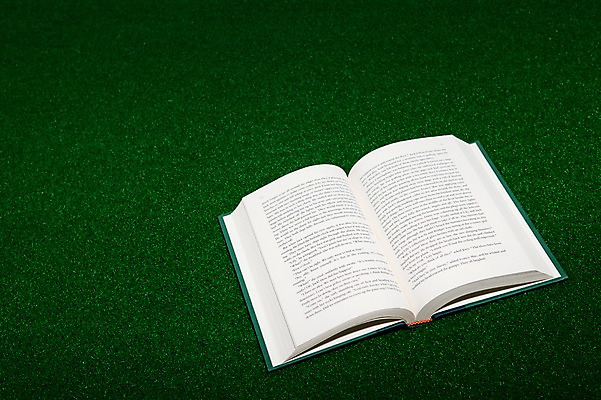 포토 JPG 스튜디오촬영 백그라운드 실내 잔디 사람없음 책 펼침 오브젝트 한권 페이지 국내포토 식물 1 모션 내부 파일형식