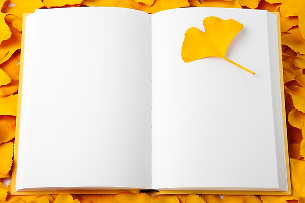 포토 JPG 스튜디오촬영 사계절 계절 백그라운드 잎 자연 나뭇잎 프레임 실내 사람없음 책 펼침 가을 오브젝트 백지 한권 은행잎 국내포토 식물 1 모션 내부 생태계 파일형식