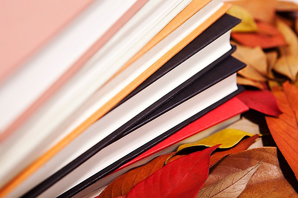 포토 JPG 스튜디오촬영 사계절 계절 백그라운드 단풍 낙엽 잎 자연 나뭇잎 실내 사람없음 책 쌓기 가을 오브젝트 여러권 국내포토 식물 다수 모션 내부 생태계 파일형식