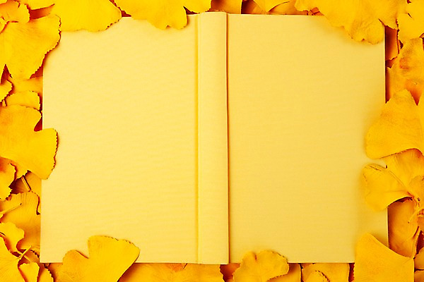 포토 JPG 스튜디오촬영 식물 사계절 계절 백그라운드 잎 자연 나뭇잎 실내 사람없음 책 노란색 펼침 커버 가을 오브젝트 한권 은행잎 국내포토 1 컬러 모션 내부 생태계 파일형식