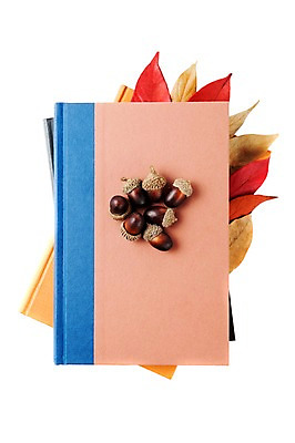 포토 JPG 스튜디오촬영 식물 사계절 계절 열매 백그라운드 단풍 잎 자연 실내 사람없음 책 여러개 가을 오브젝트 도토리 국내포토 다수 내부 견과류 생태계 파일형식