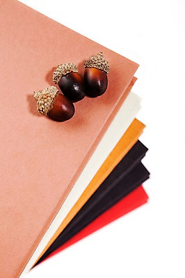 포토 JPG 스튜디오촬영 식물 사계절 계절 열매 백그라운드 자연 실내 누끼 사람없음 책 쌓기 가을 세개 오브젝트 여러권 도토리 국내포토 다수 모션 3 내부 견과류 생태계 파일형식