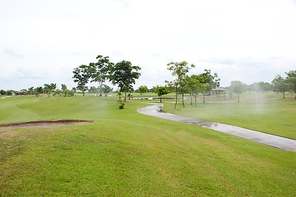 포토 JPG 주간 나무 식물 해외기획촬영 해외 길 2010년태국 스포츠용품 스포츠 골프 스포츠시설 골프장 필드 레저 풍경 사람없음 야외 초록색 레포츠 구기 국내포토 자연요소 컬러 오브젝트 시설 파일형식