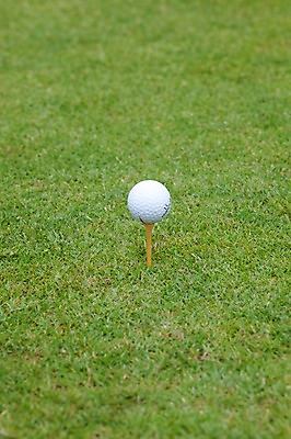 포토 JPG 주간 해외기획촬영 해외 2010년태국 스포츠용품 스포츠 골프 스포츠시설 골프장 필드 레저 골프공 골프용품 잔디 사람없음 야외 초록색 레포츠 구기 국내포토 자연요소 식물 컬러 공 오브젝트 시설 파일형식