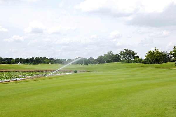 포토 JPG 주간 나무 식물 구름 해외기획촬영 해외 2010년태국 스포츠용품 스포츠 골프 스포츠시설 골프장 필드 하늘 레저 물줄기 풍경 사람없음 야외 초록색 레포츠 구기 연못 국내포토 자연요소 컬러 물 오브젝트 시설 파일형식