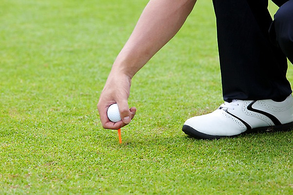 포토 JPG 주간 해외기획촬영 해외 손 남자 2010년태국 스포츠용품 스포츠 골프 스포츠시설 골프장 필드 레저 골프공 골프용품 한명 들기 사람 동양인 손짓 성인 야외 신체부위 초록색 레포츠 구기 한국인 골퍼 성인만 국내포토 자연요소 1 컬러 공 모션 운동선수 인종 오브젝트 시설 파일형식