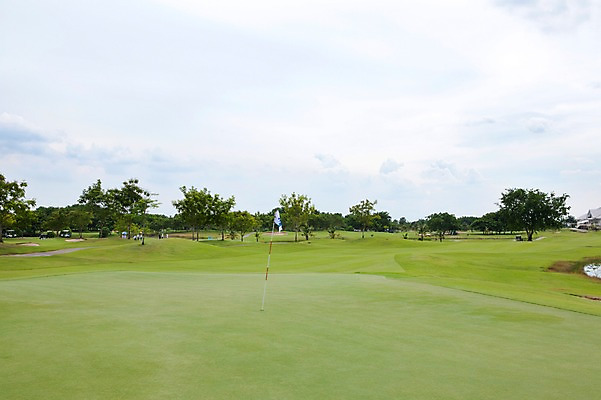 포토 JPG 주간 나무 식물 구름 해외기획촬영 해외 2010년태국 스포츠용품 스포츠 골프 스포츠시설 골프장 필드 하늘 레저 풍경 사람없음 야외 초록색 레포츠 구기 깃발 국내포토 자연요소 컬러 오브젝트 시설 파일형식