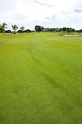 포토 JPG 주간 나무 식물 구름 해외기획촬영 해외 2010년태국 스포츠용품 스포츠 골프 스포츠시설 골프장 필드 하늘 레저 풍경 사람없음 야외 건물 초록색 레포츠 구기 연못 국내포토 자연요소 건축물 컬러 오브젝트 시설 파일형식